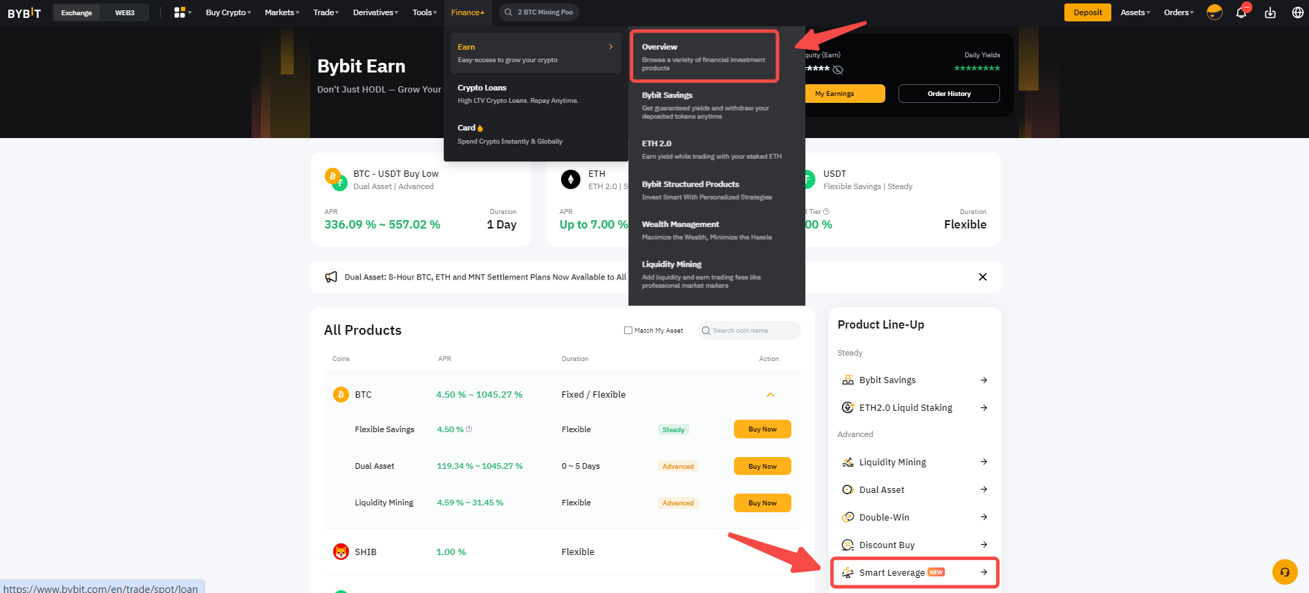 GS Smart Leverage 03.png